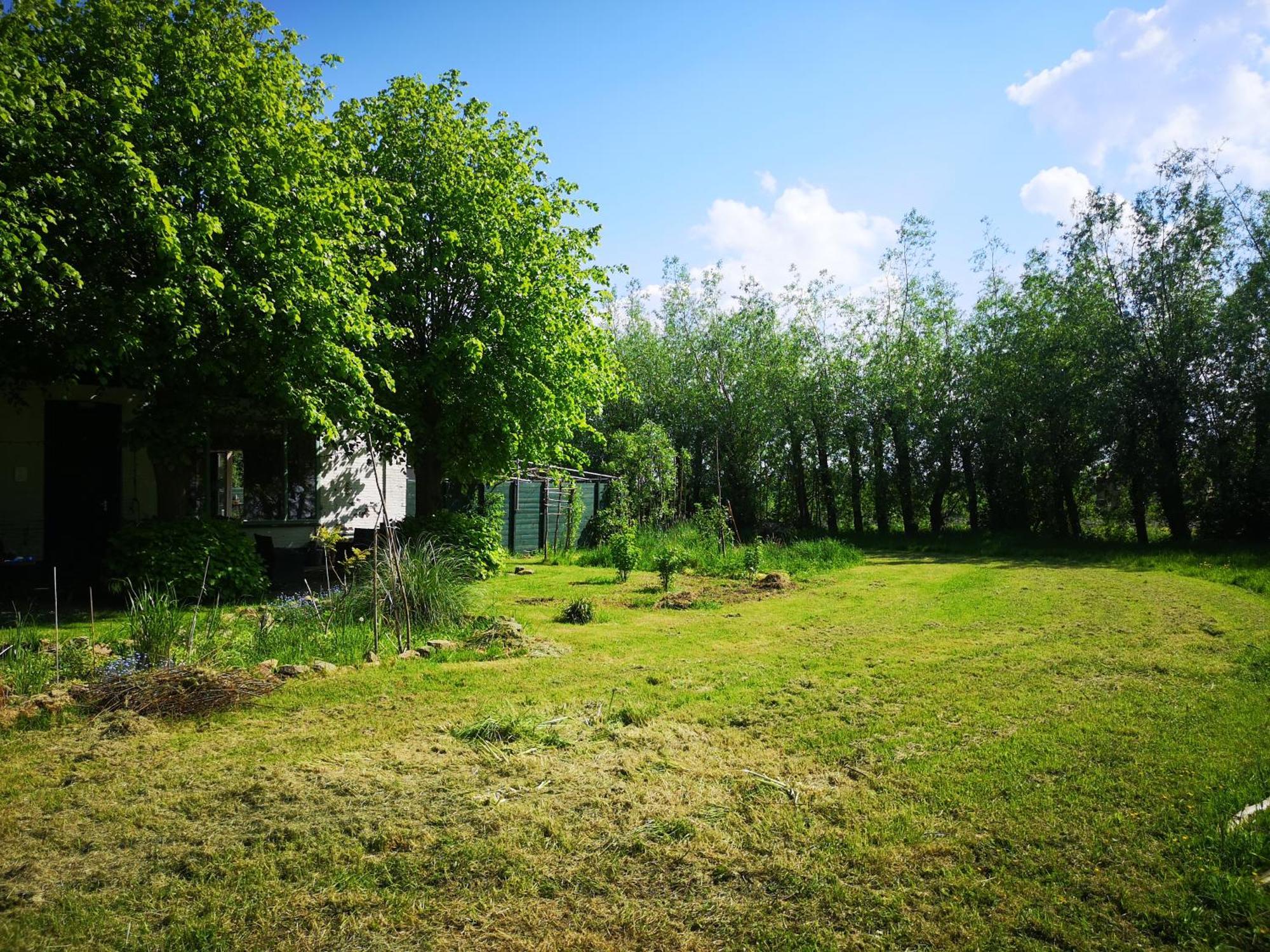 Sweet Tiny House Villa Westbeemster Kültér fotó